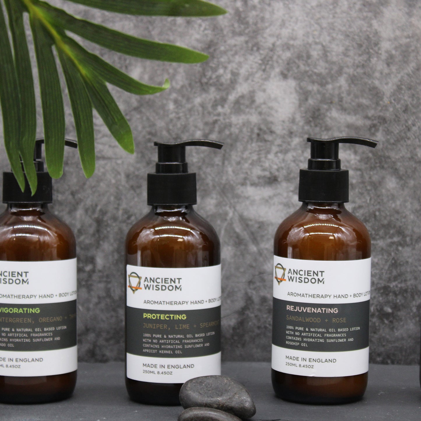 Aromatherapy Hand & Body Lotion