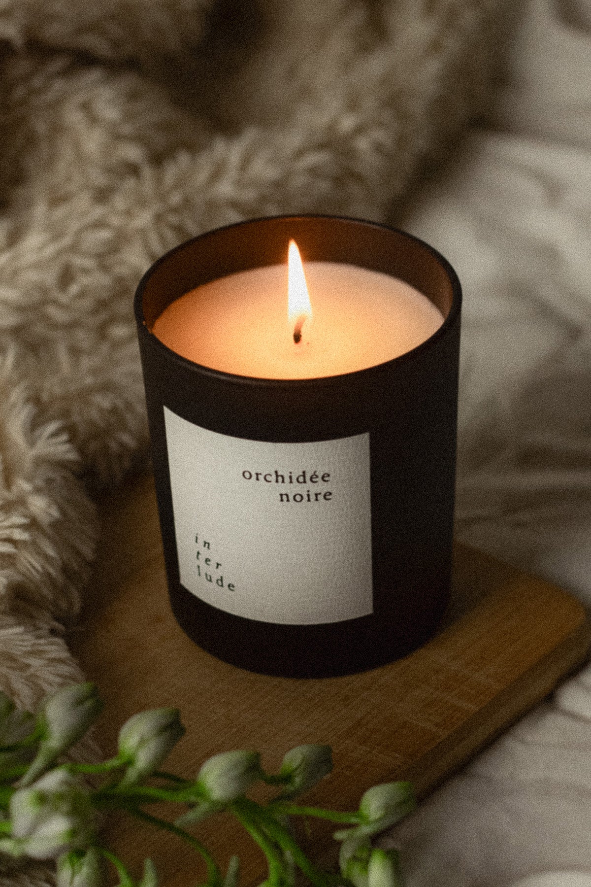 Orchidée Noire Bougie Parfumée