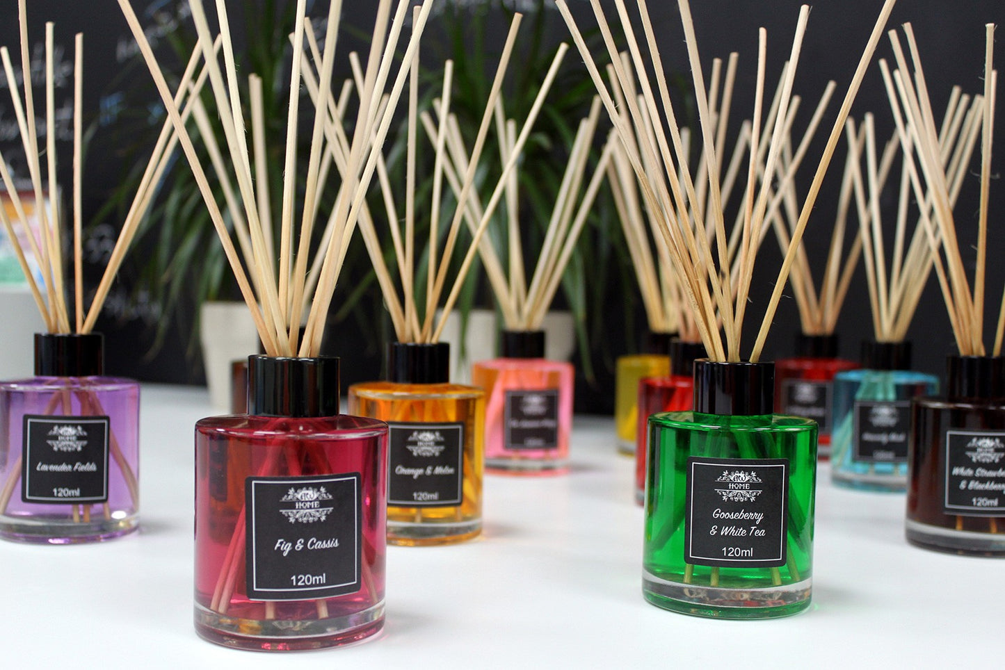 Fragrance Reed Diffusers